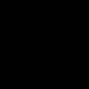 Meet your Posher, Ashlee